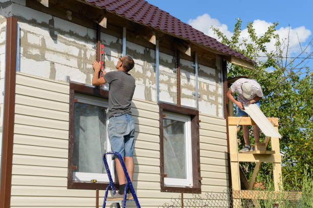 Best Siding Replacement  in Ravenswood, WV