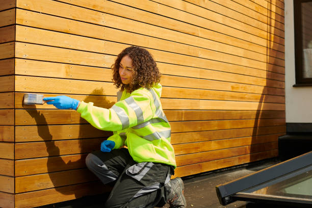Best Custom Trim and Detailing for Siding  in Ravenswood, WV